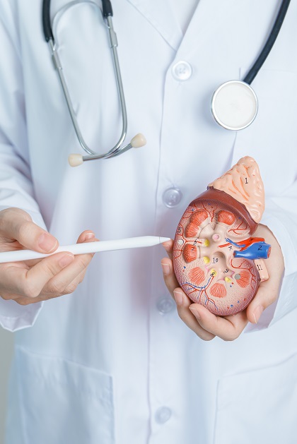 preguntas-frecuentes-de-medicina-interna-y-nefrologia-en-cdmx.jpg
